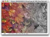 Creating a beautiful fade from original color to grayscale
