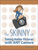 Book cover: The Skinny on Taking Better Pictures With Any Camera